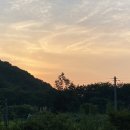 더슈나애견펜션
