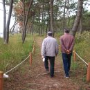 엘도라도 이미지