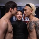 사이즈의 이점이 없어진 바이퍼 이미지