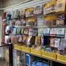 멍멍이랑 호호아줌마 이미지