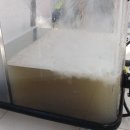 힐세탁 | 울산 샤기카페트 세탁 양정동 힐스테이트 러그수거세탁