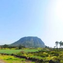 왕창공인중개사사무소 이미지