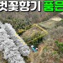 성주부동산중개 이미지