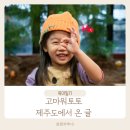 고마워토토인덕원점 이미지