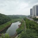 핀스쳐