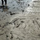 안리 파티 하우스 이미지