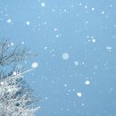 으뜸50안경 성신여대점 이미지