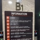 검단 테니스 레슨 헐테니스, 초보자 레슨 후기 및 비용