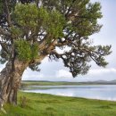 보은여인숙 이미지