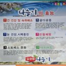 김경엽다슬기 | 광주 첨단 CGV관람 후 첨단 맛집 '김경엽 다슬기 첨단점'에서 단종이 맛있게 먹은 다슬기 수제비 냠냠