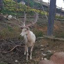 지리산황토휴양펜션 이미지