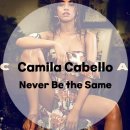 Camila Cabello - Never Be the Same 이미지