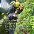 5월 27일 13강 산야초 발효액 1 - 발효액을 이용한 고추장 담그기 이미지