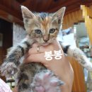 주주봉봉 네이버블로그
