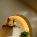 우다닥고양이호텔 | 성남 고양이 호텔 가격 만족, 왜 우다닥 고양이 호텔을 찾을까요?