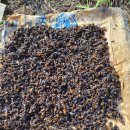 종현농장 2 이미지