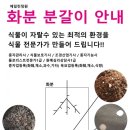 에일린정원법인 네이버블로그