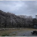쉼표 글램핑&캠핑 이미지