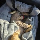 두호경로당 이미지