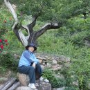 원지농원 이미지