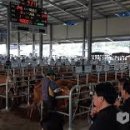 기계시장 이미지