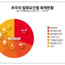 코코러스 이미지