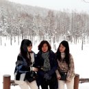 세븐일레븐 구미봉곡푸른빛점 | [19.01삿포로 여행] 셋째 날 후라노+비에이 투어(feat. 흰 그림자 투어)