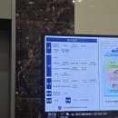 크로스핏레이크 | [수원광교/MIYAO] 광교 고양이 카페 'MIYAO 미야오' 추천 후기