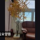 섬김요양원 | [천안 요양원/추천/후기/가격] 섬김요양원 천안 섬김요양원, 가족 같은 분위기