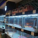 멍클레어 이미지