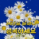 자긴왜 테크닉이 없냐 이미지