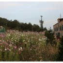 바다요정 이미지