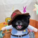 지구별댕댕이 이미지