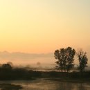 창녕 우포늪 이미지