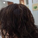 원도안로-29 | 【대전 단발보브컷 잘하는 미용실】정수리 볼륨 살리는 단발보브컷 후기｜도안동 정주헤어