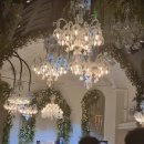 고릴라 뷔페 | 더 베뉴지 서울/마곡 웨딩홀 뷔페/강서구 웨딩홀 더 베뉴지 베뉴지홀 하객후기