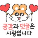 찐돈 - 의정부시 신촌로29번길 43 | 찐돈