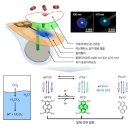 &#39;수면 무호흡증인가?’…KAIST, 실시간 확인 가능한 웨어러블 CO2 센서 개발 이미지