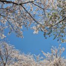 부산당감4동우체국 이미지