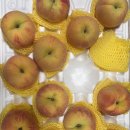 광인농장 이미지