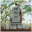 [등산] 백운태화 1일 2산 - 태화산 흥교태화산농장 최단 코스 후기