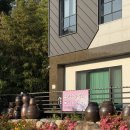 산바다야생화