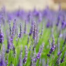 민행정사사무소 이미지