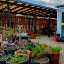 초록숲민박 이미지