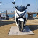 진 모터스 이미지