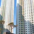 성성금빛공인중개사사무소 이미지