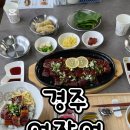 어장어 이미지