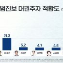 범진보,범보수 대권주자 적합도 이미지