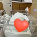 레이나 산후조리원 | 송파 산후조리원 추천, 레이나 산후조리원 | VVIP룸 3주 후기, 단독건물, 층별 신생아실, 수유컨설팅