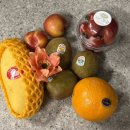 오늘 과일 | 대구과일바구니 달콤한오늘 과일선물 프룻백 수령 후기